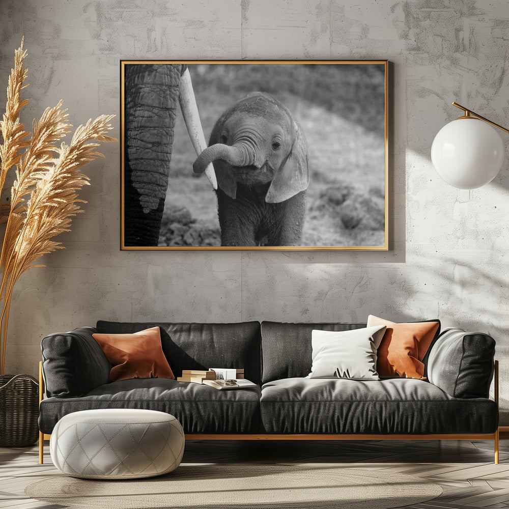 Close - Poster / Art Print - interiör
