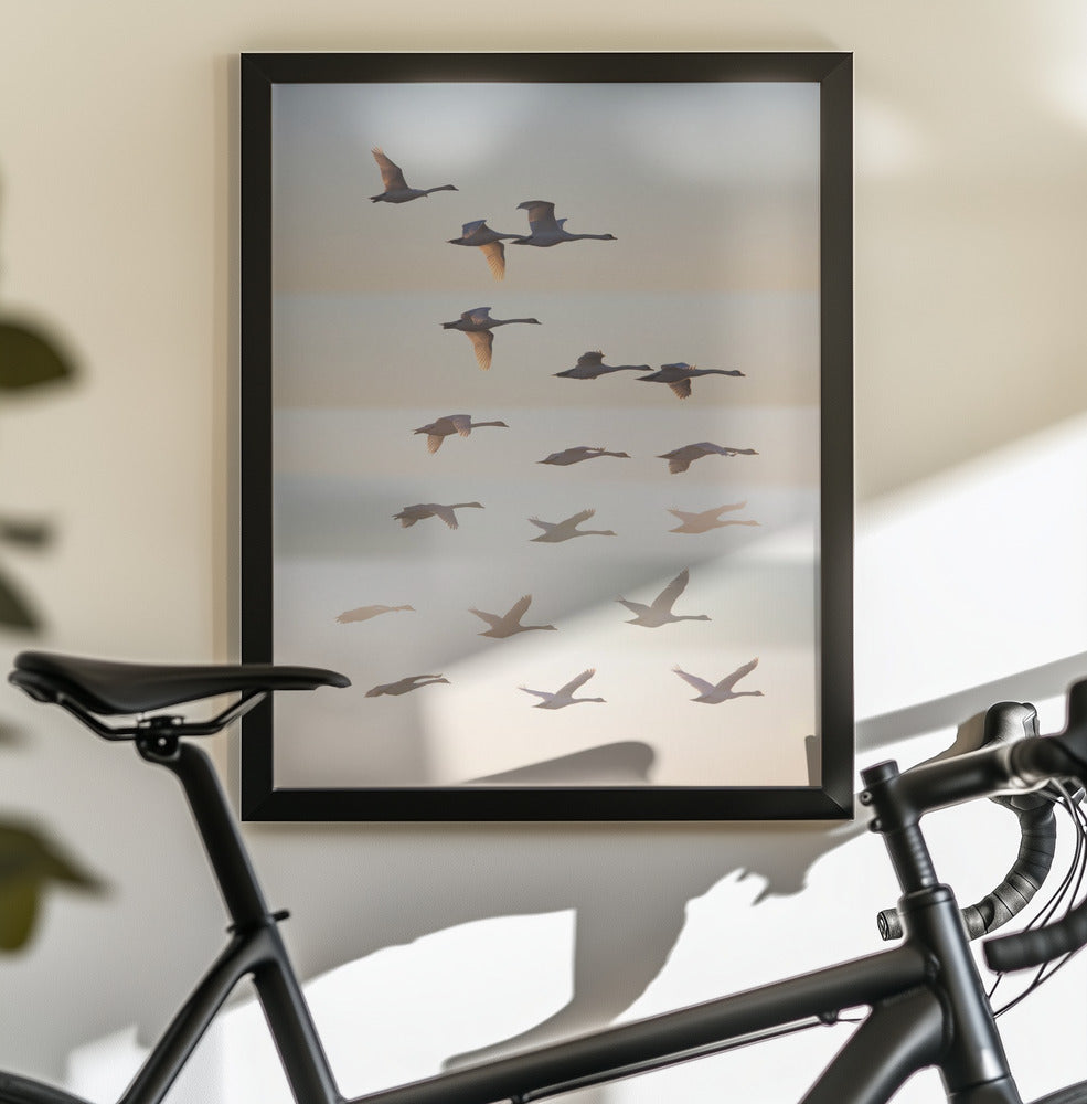 Past the sun. - Poster / Art Print - interiör