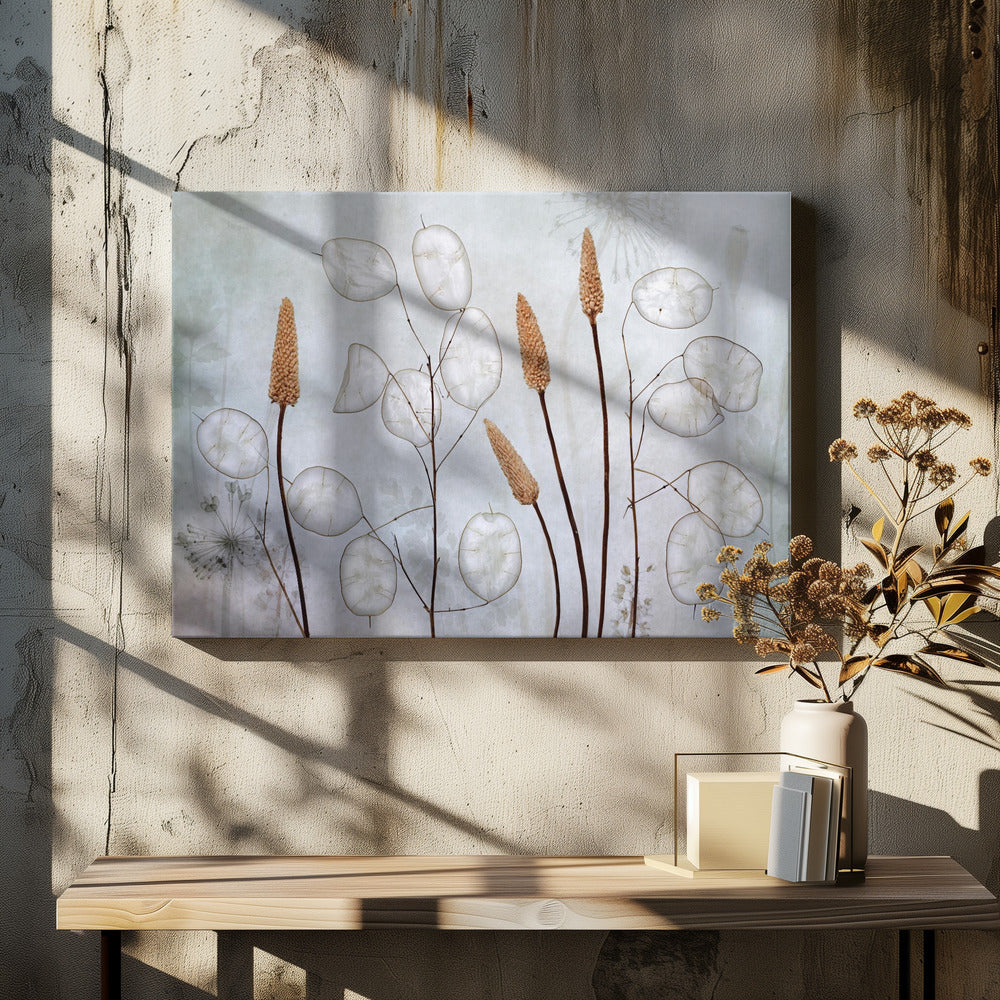Lunaria - Poster / Art Print - interiör