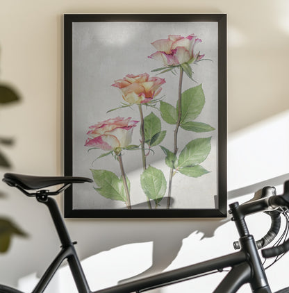 Roses - Poster / Art Print - interiör