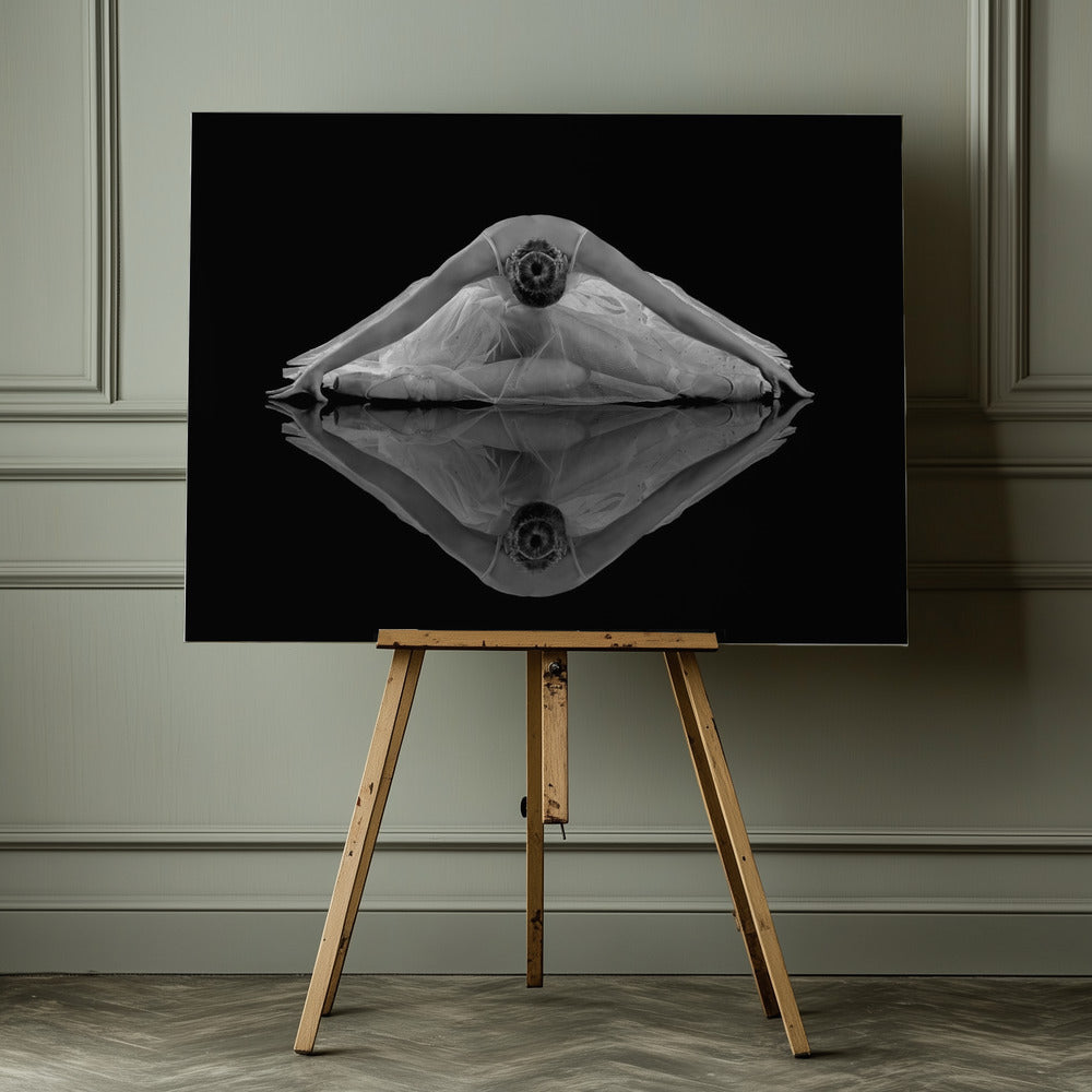 Ballerina Reflection - Poster / Art Print - interiör