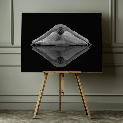Ballerina Reflection - Poster / Art Print - interiör