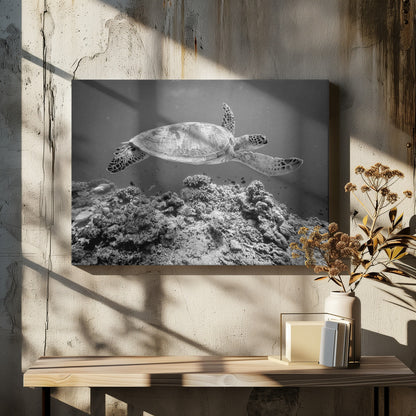 Sea Turtle at Sipadan - Poster / Art Print - interiör