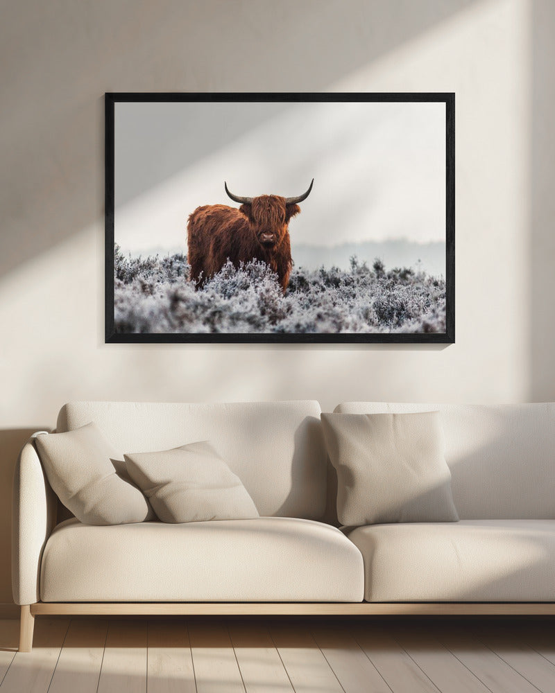 Highlander - Poster / Art Print - interiör