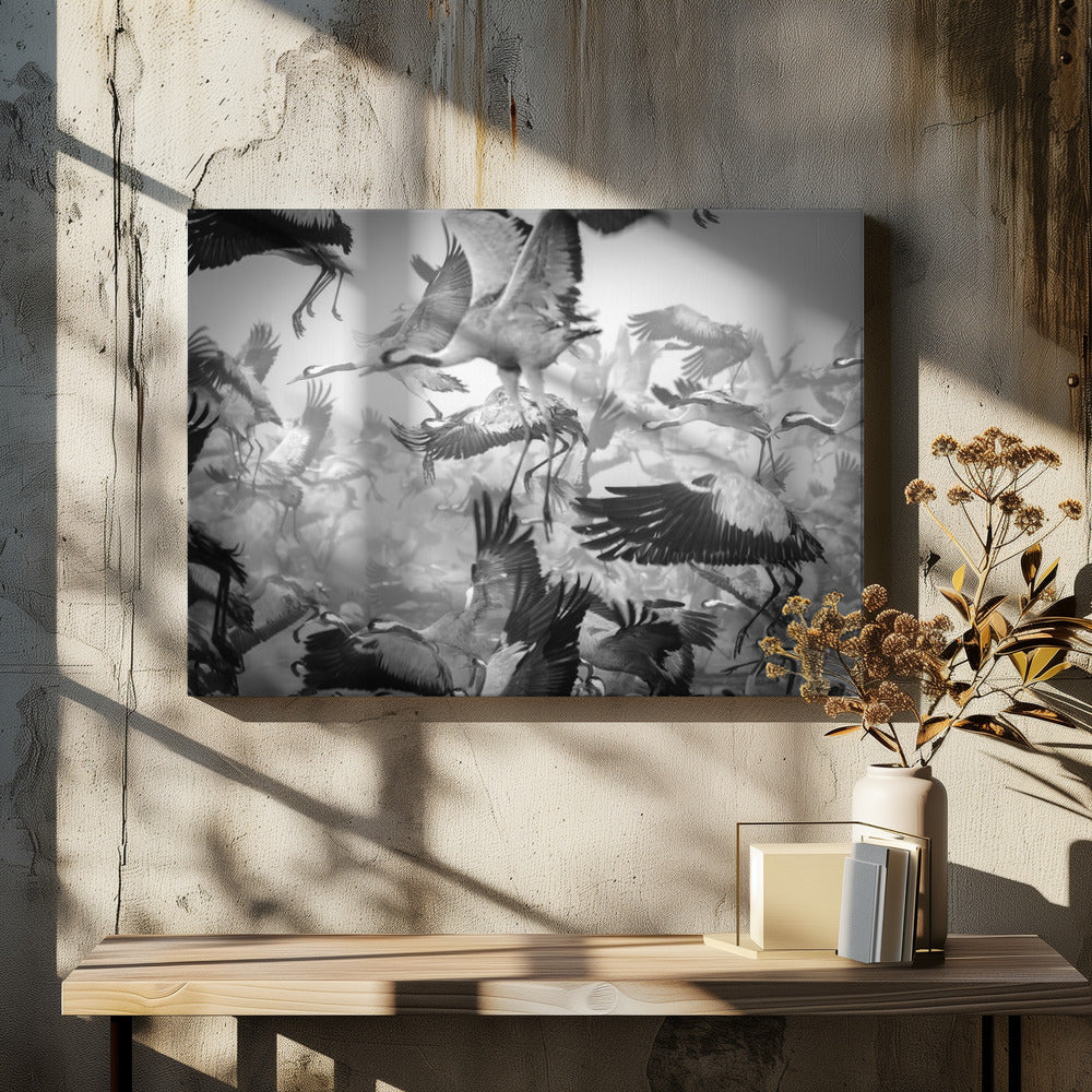 Chaos - Poster / Art Print - interiör