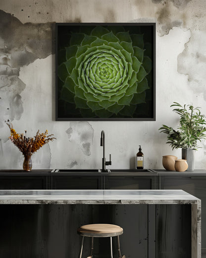 Succulent - Poster / Art Print - interiör