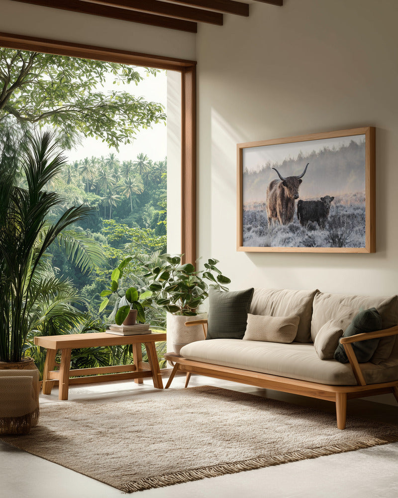 Highlander and Calf - Poster / Art Print - interiör