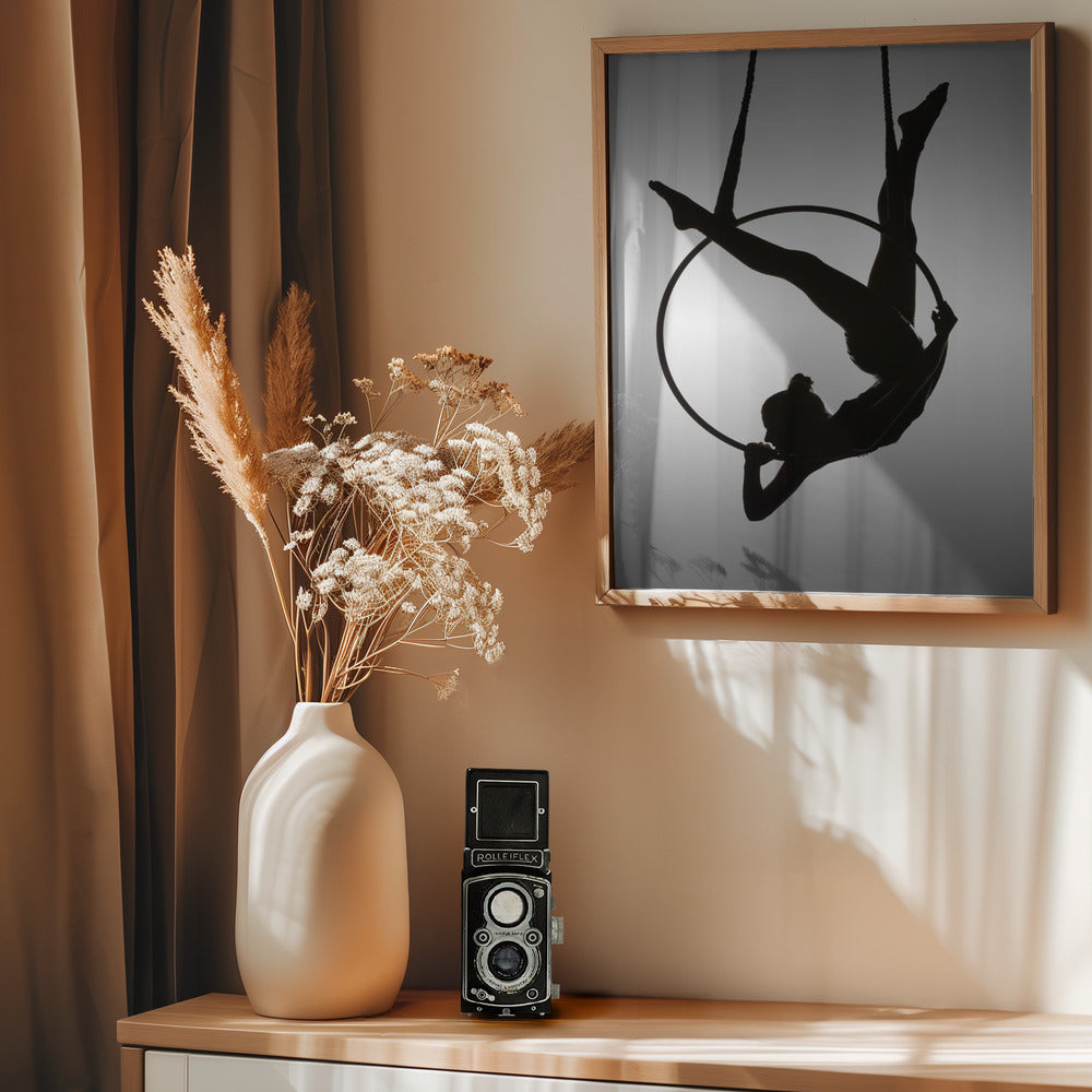 The Aerialist - Poster / Art Print - interiör