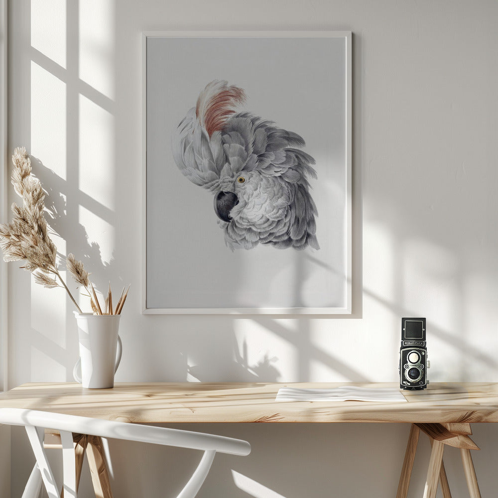 Cockatoo Head - Poster / Art Print - interiör