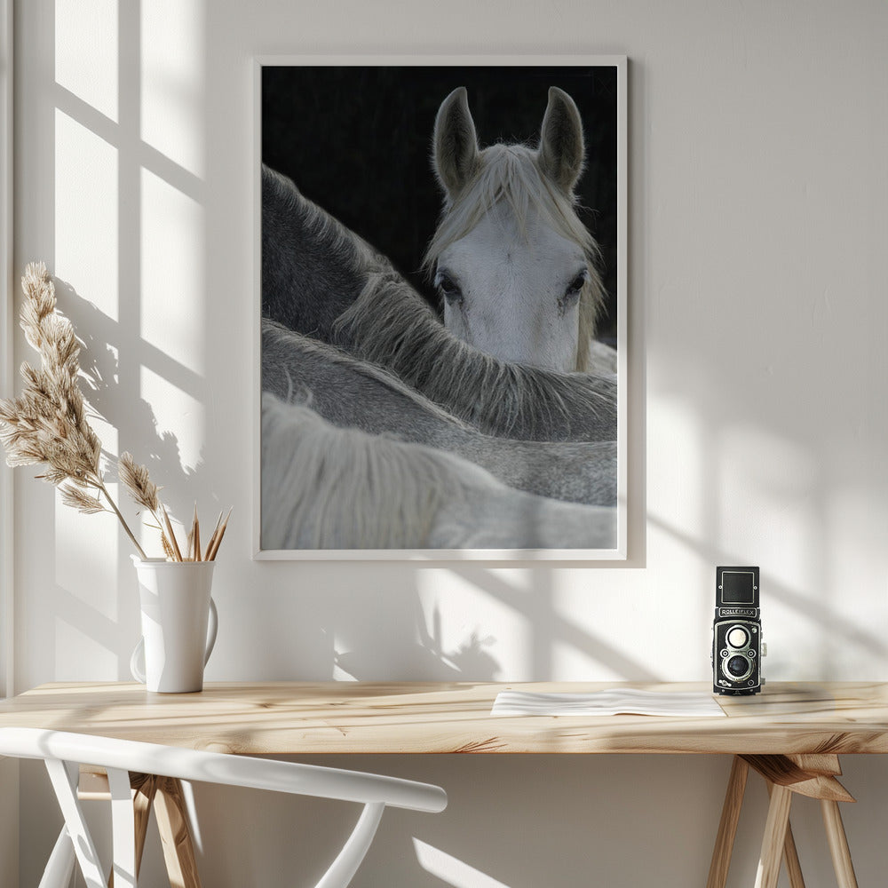 Look - Poster / Art Print - interiör