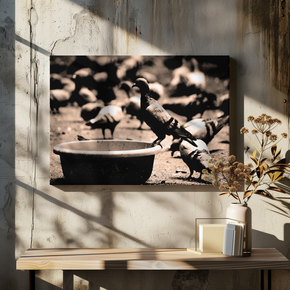 Birds 05 - Poster / Art Print - interiör