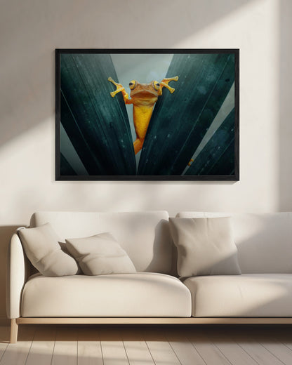 Gold Frog - Poster / Art Print - interiör