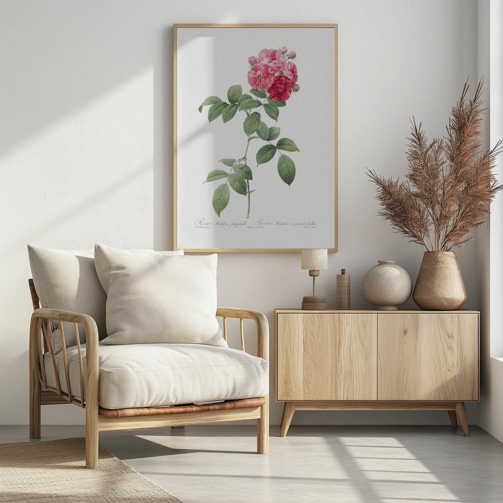 Seven Sisters Roses, Les Roses (1817–1824) - Poster / Art Print - interiör