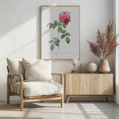 Seven Sisters Roses, Les Roses (1817–1824) - Poster / Art Print - interiör