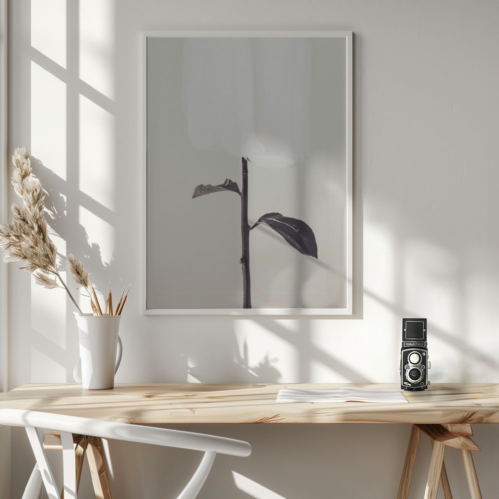Peony 18 - Poster / Art Print - interiör
