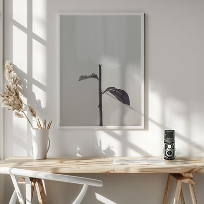 Peony 18 - Poster / Art Print - interiör