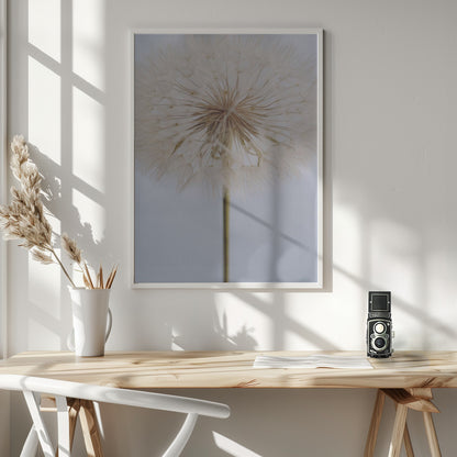 Delicate Dandelion - Poster / Art Print - interiör