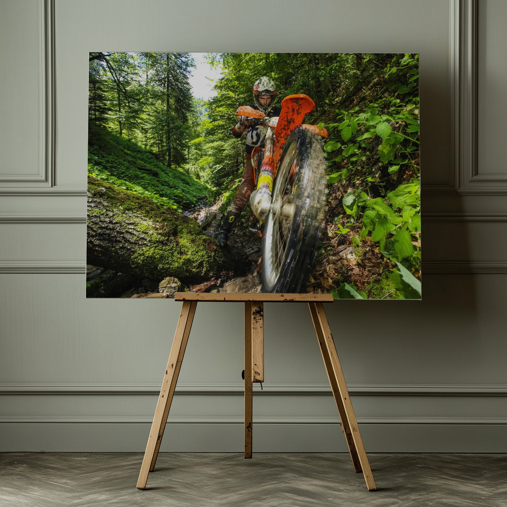 Carpath Enduro - Poster / Art Print - interiör