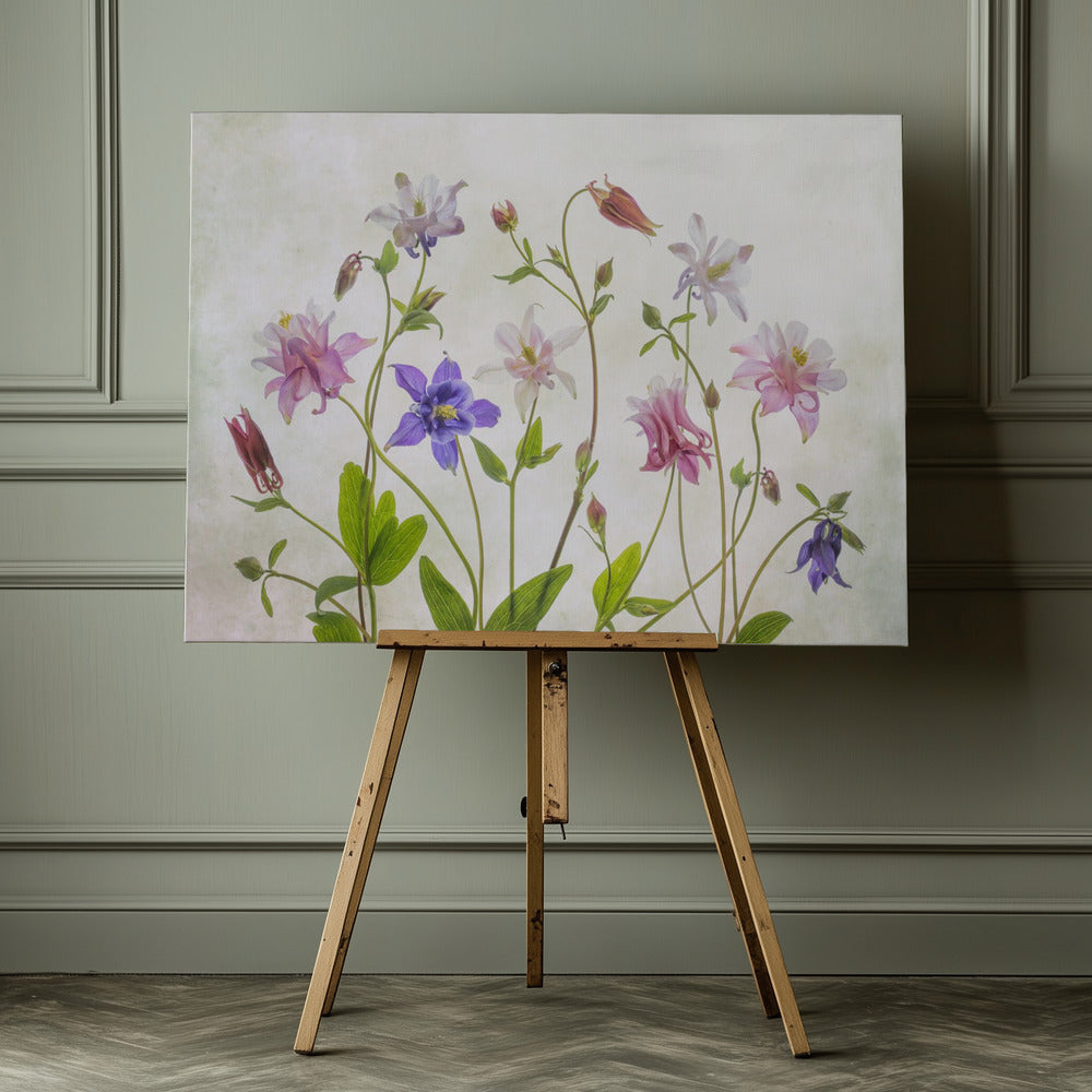 Columbine - Poster / Art Print - interiör