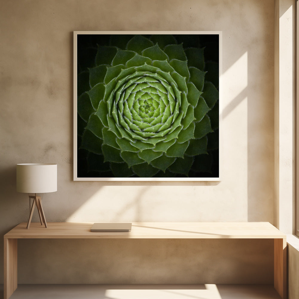 Succulent - Poster / Art Print - interiör