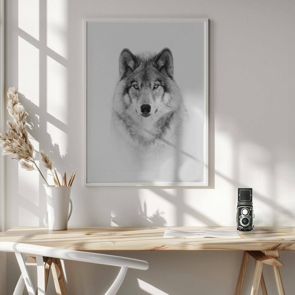 Portrait of a Timber Wolf - Poster / Art Print - interiör