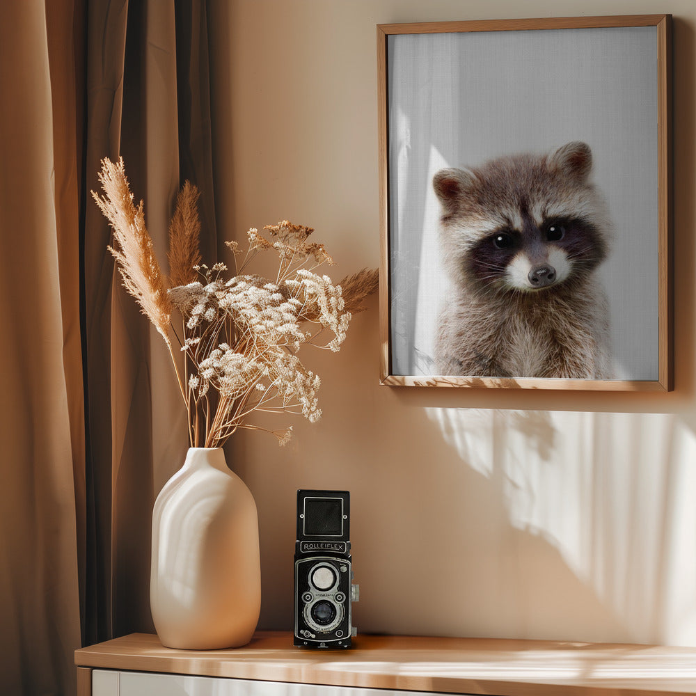 Peekaboo Raccoon - Poster / Art Print - interiör