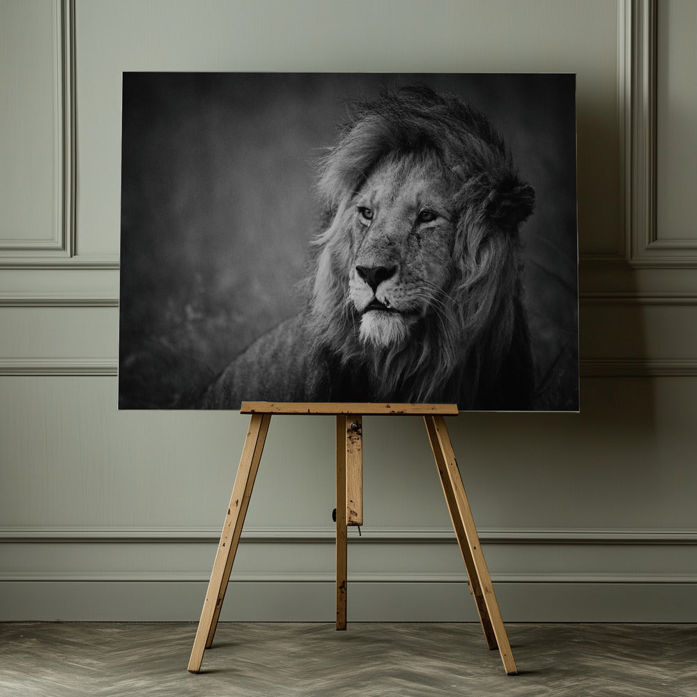 Regal - Poster / Art Print - interiör