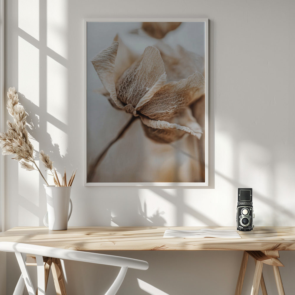 Dry flower detail No 3 - Poster / Art Print - interiör