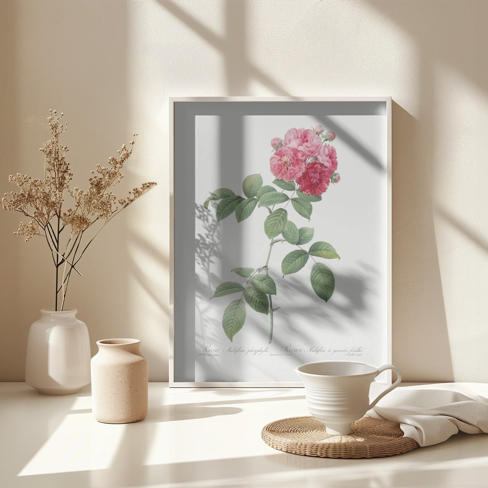 Seven Sisters Roses, Les Roses (1817–1824) - Poster / Art Print - interiör