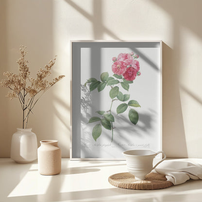 Seven Sisters Roses, Les Roses (1817–1824) - Poster / Art Print - interiör