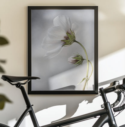 Heavenly Cosmos - Poster / Art Print - interiör
