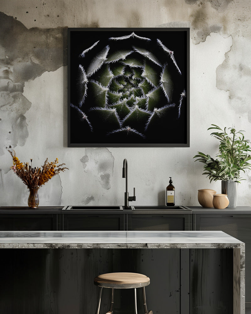 Sempervivum Rosette - Poster / Art Print - interiör