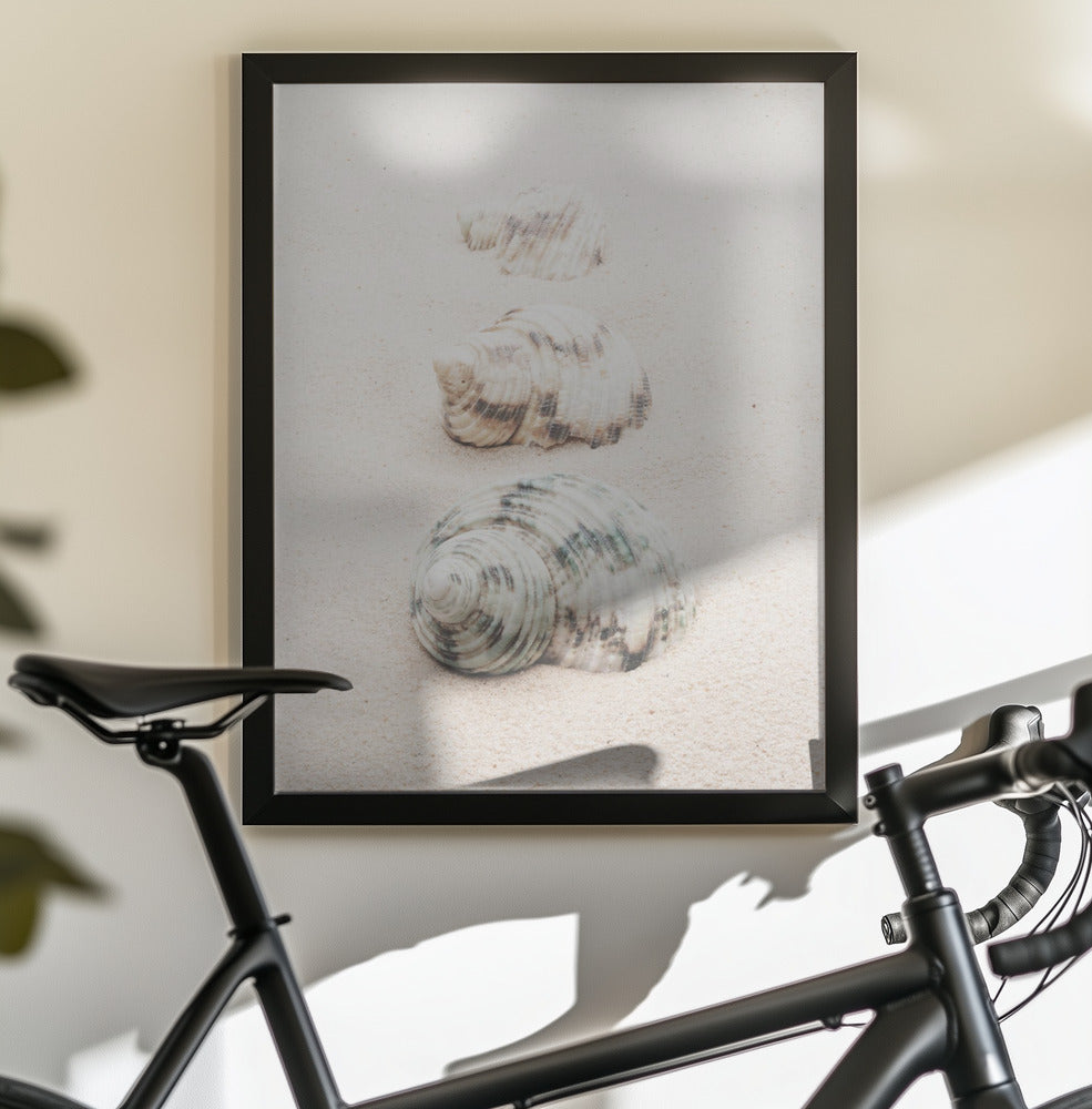 Shells - Poster / Art Print - interiör