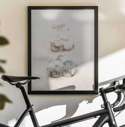 Shells - Poster / Art Print - interiör