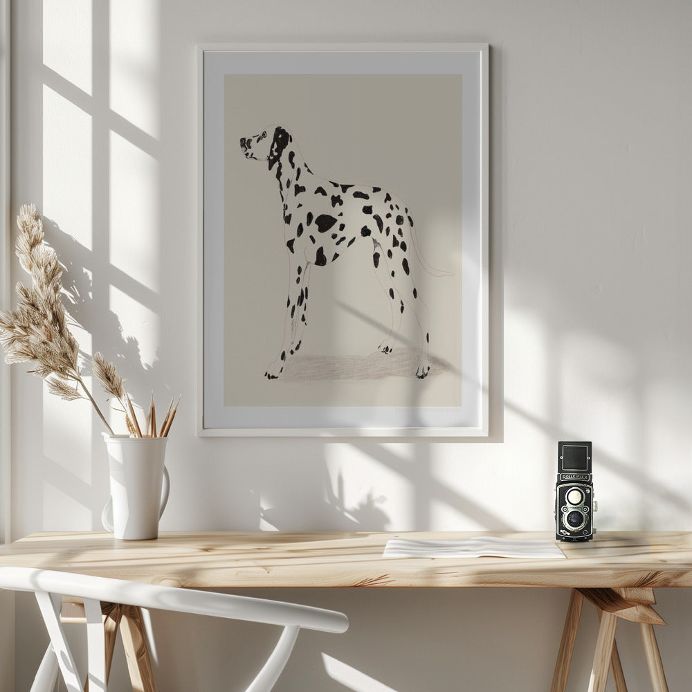 Pandc Dalmation - Poster / Art Print - interiör