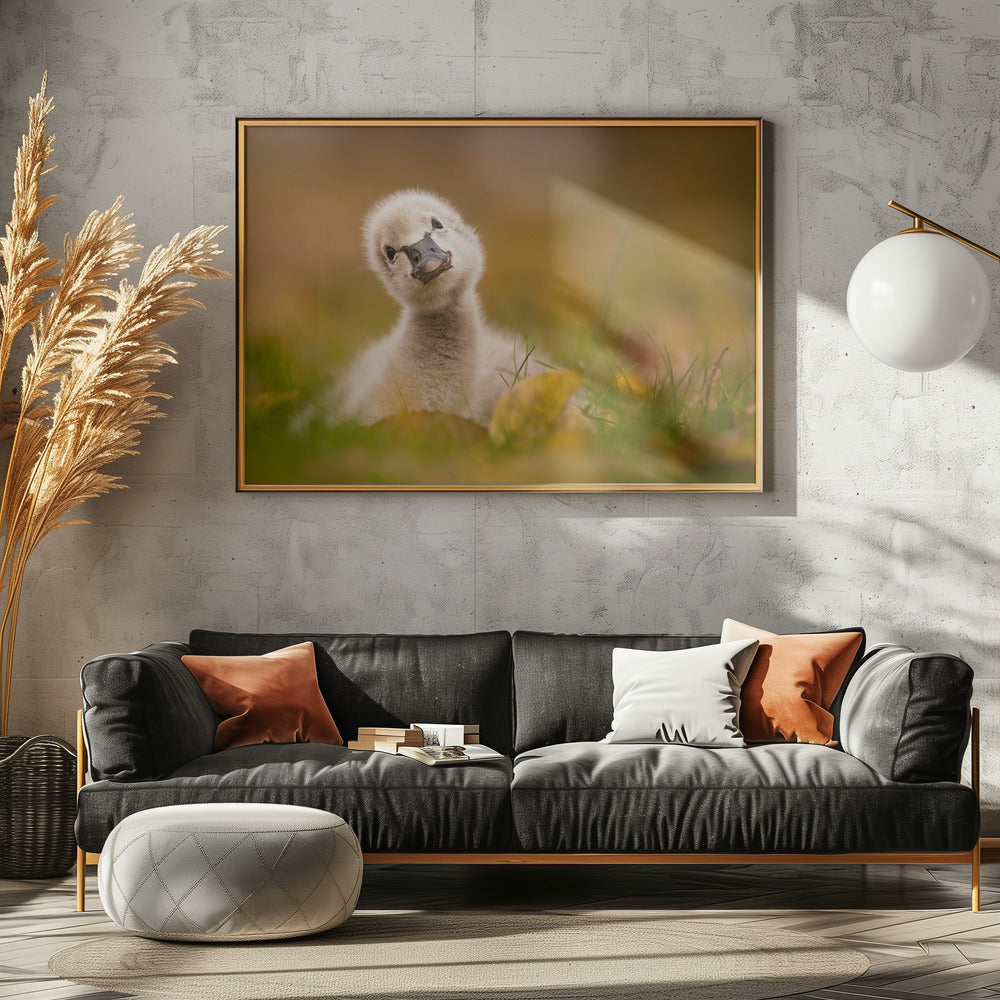 Black Swan Baby - Poster / Art Print - interiör