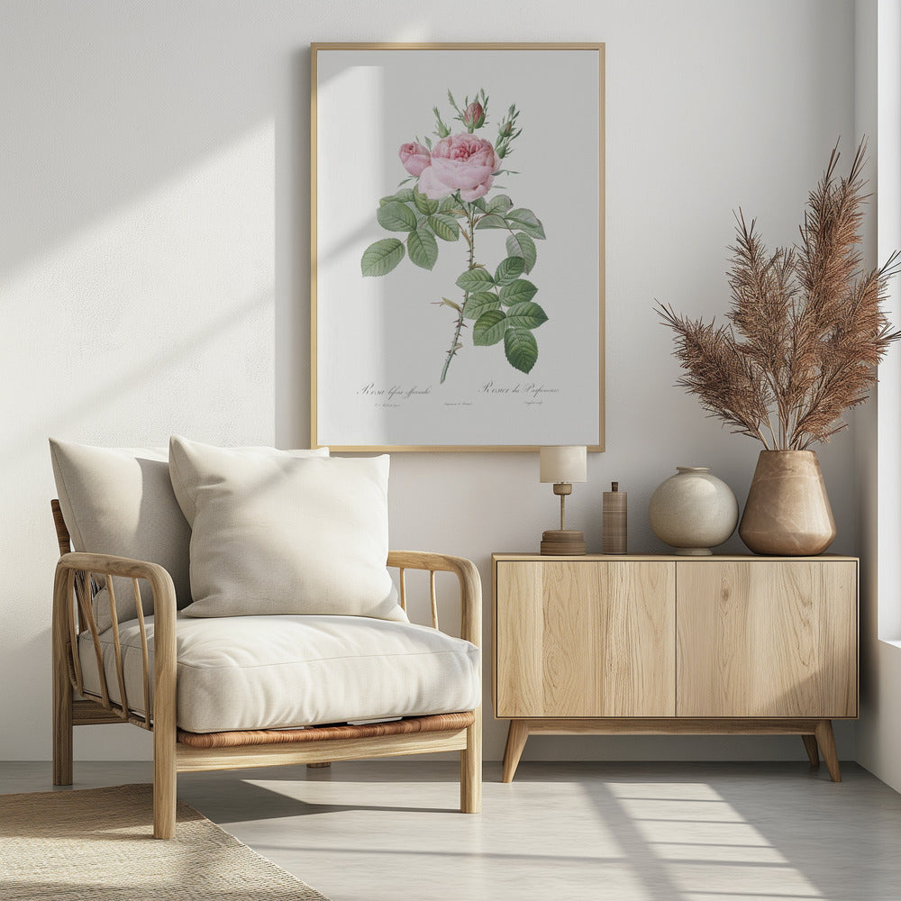 Rosa Bifera Officinalis,les Roses (1817–1824) - Poster / Art Print - interiör
