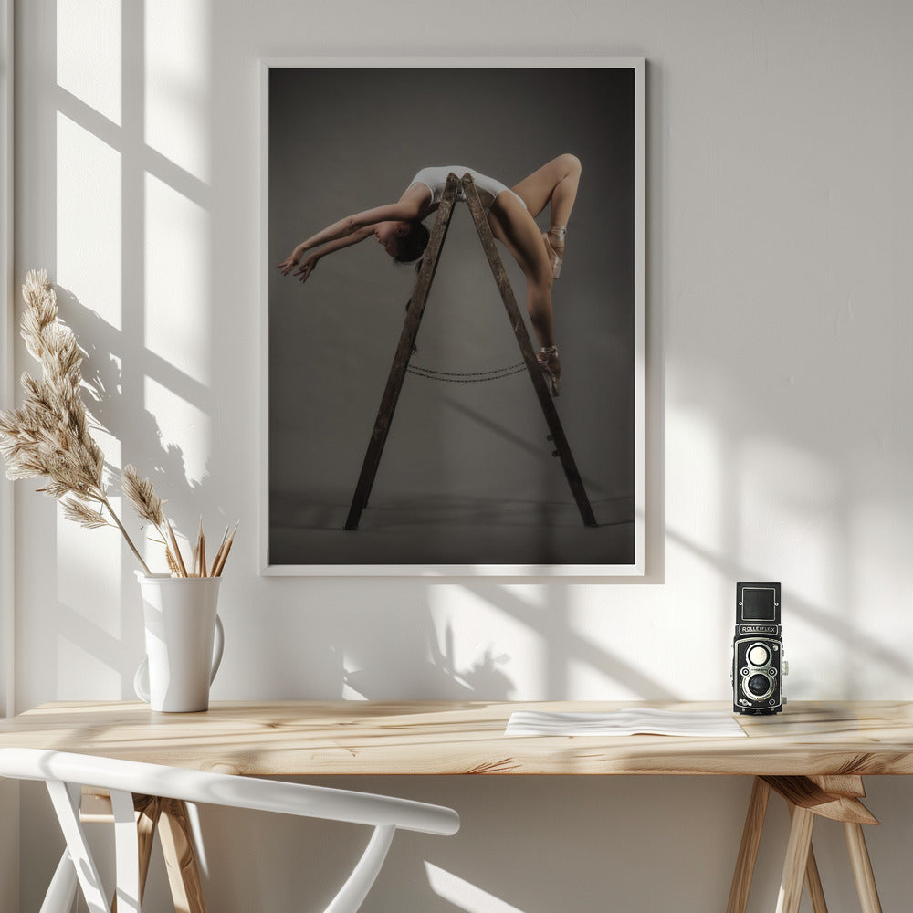how to use a ladder - Poster / Art Print - interiör