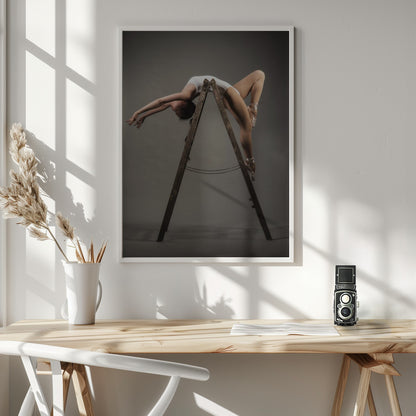 how to use a ladder - Poster / Art Print - interiör