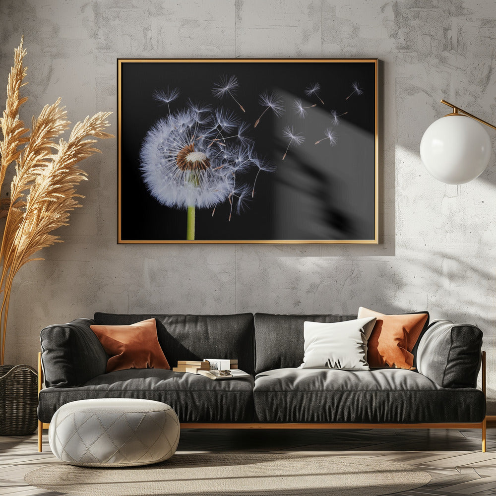 Dandelion Blowing - Poster / Art Print - interiör