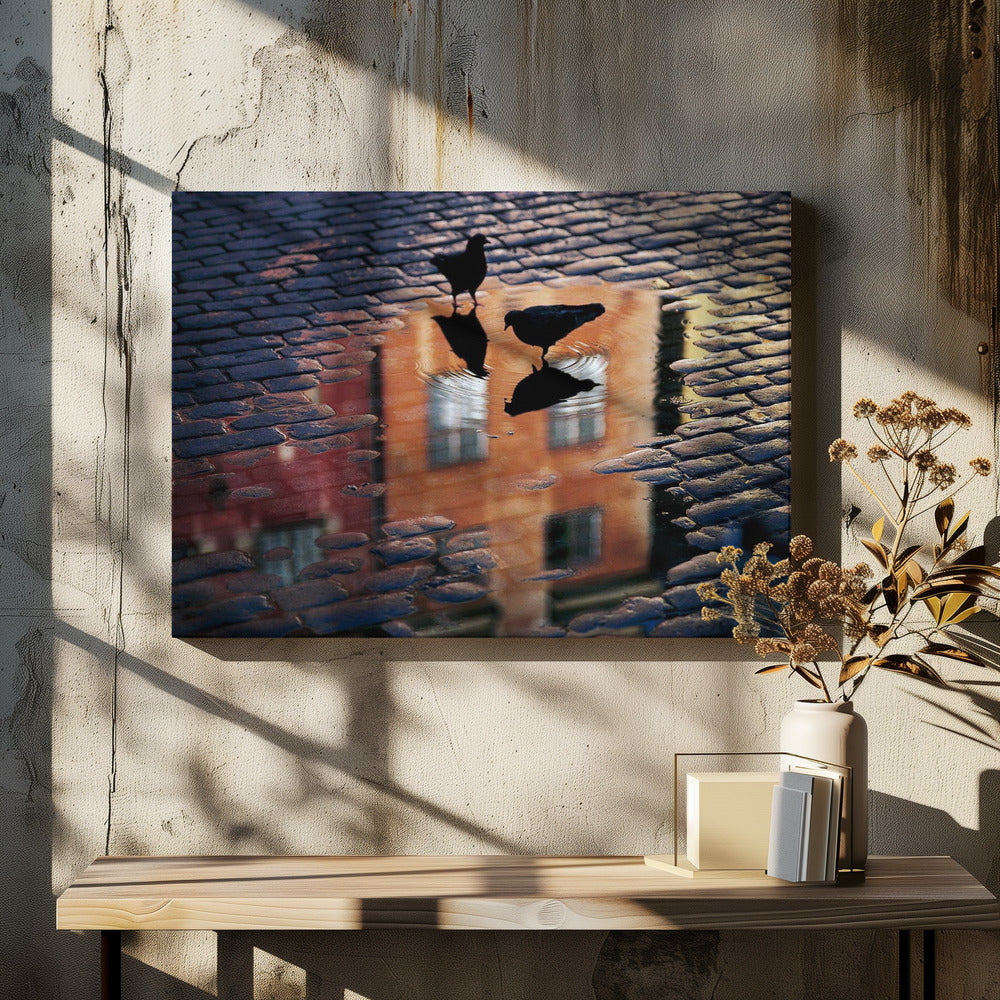 Pigeons - Poster / Art Print - interiör