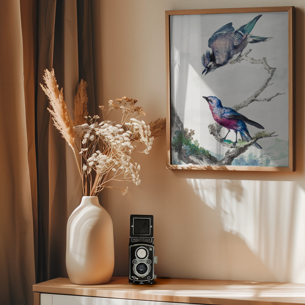 Two Birds  a Blue Jay and a Purple Breasted Cotinga - Poster / Art Print - interiör