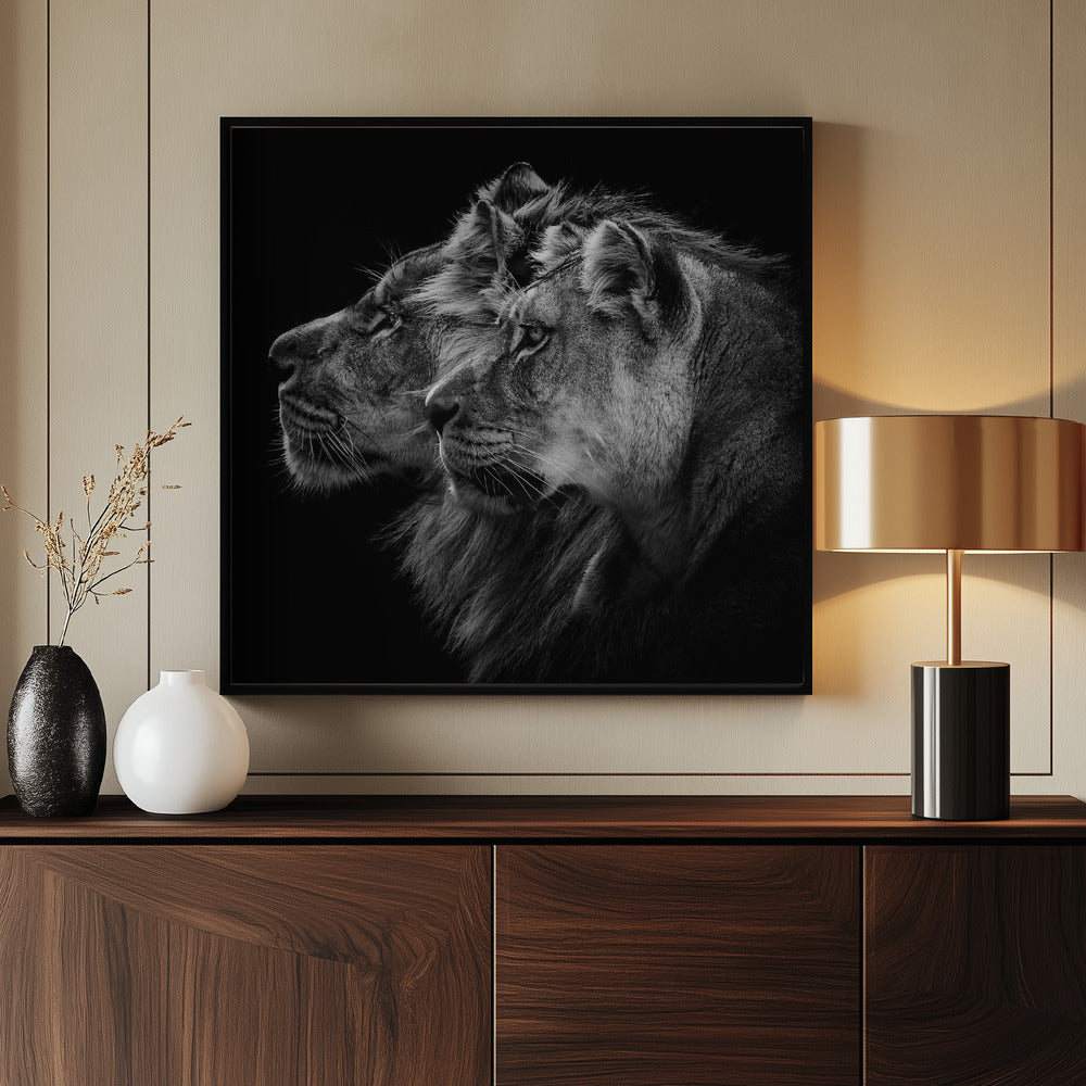 Lion and  lioness portrait - Poster / Art Print - interiör