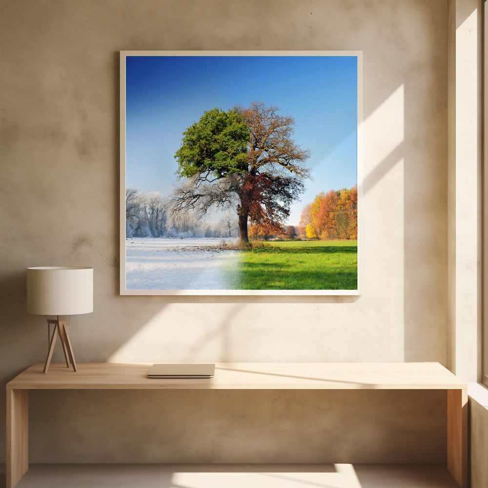 4 seasons - Poster / Art Print - interiör