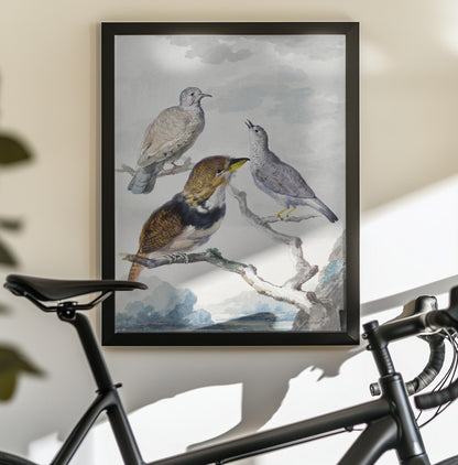 Three Birds, Two Inca Pigeons and a Collared Bearded Cuckoo - Poster / Art Print - interiör