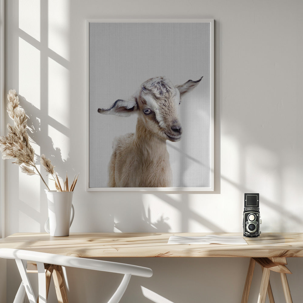Peekaboo Baby Goat - Poster / Art Print - interiör