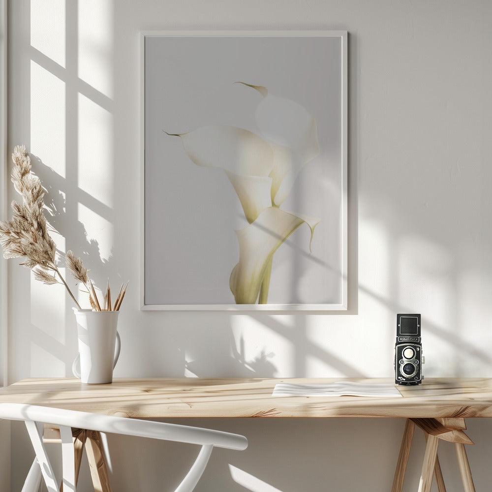 White Calla Lily No 3 - Poster / Art Print - interiör