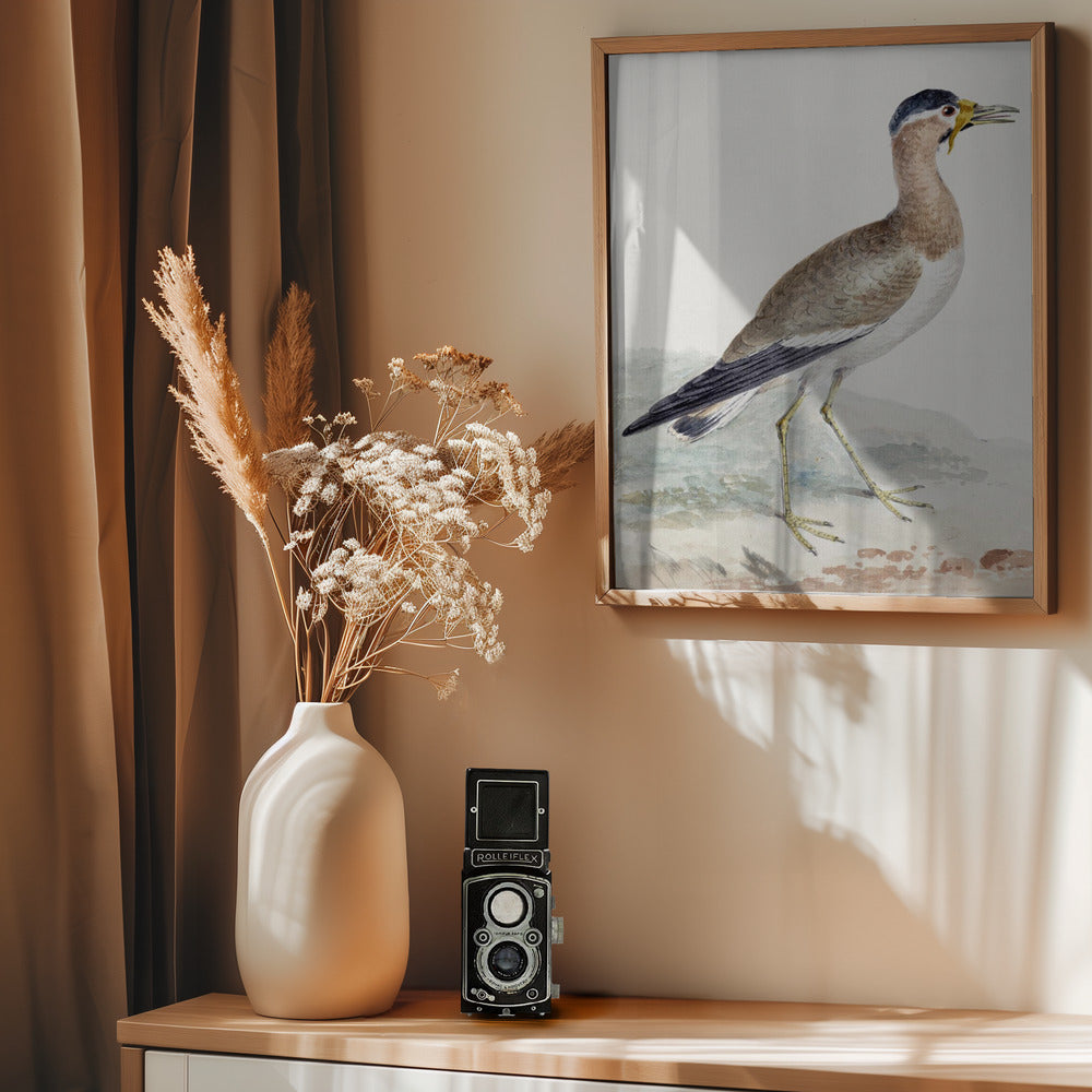 A Yellow Wattled Lapwing - Poster / Art Print - interiör
