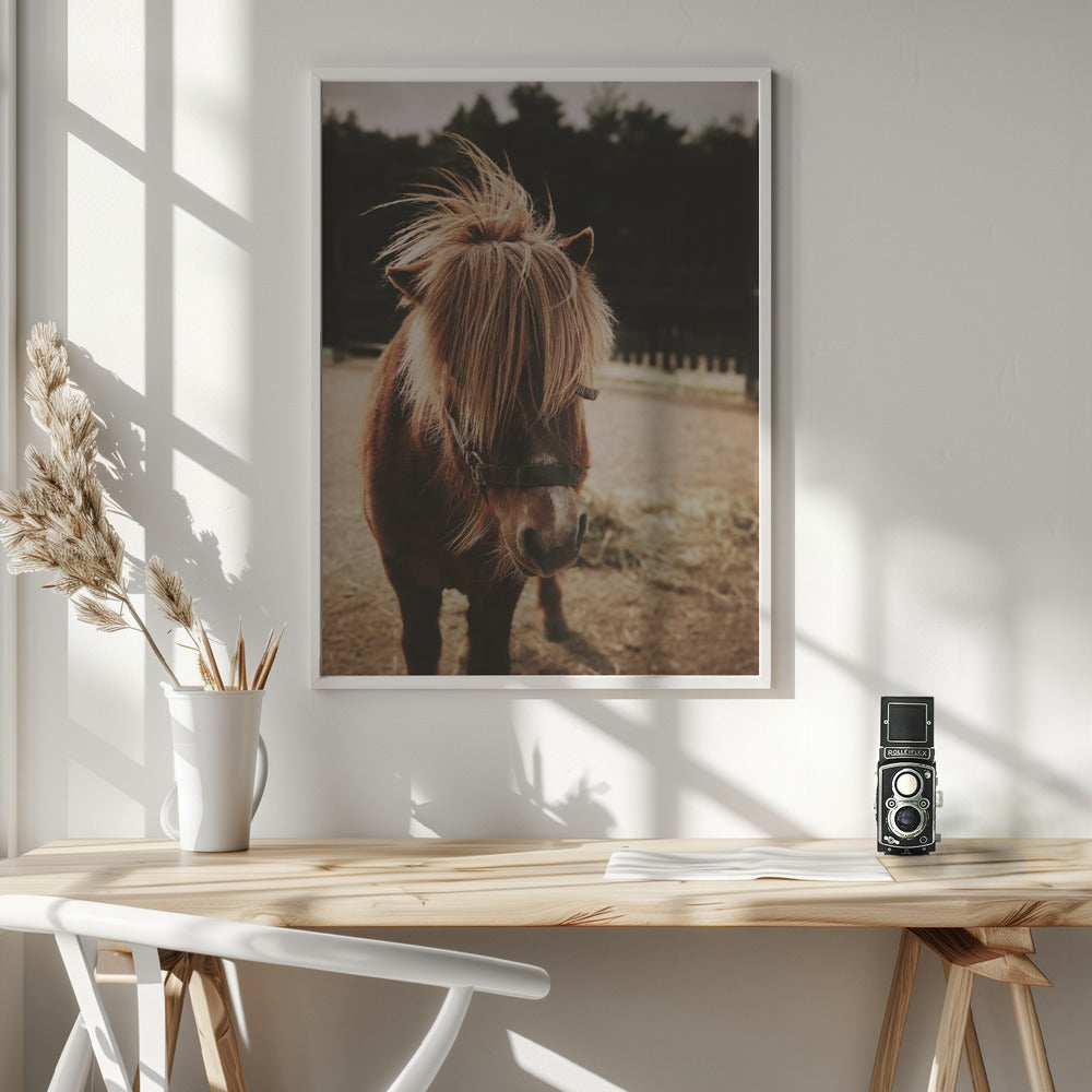 Small Horse - Poster / Art Print - interiör