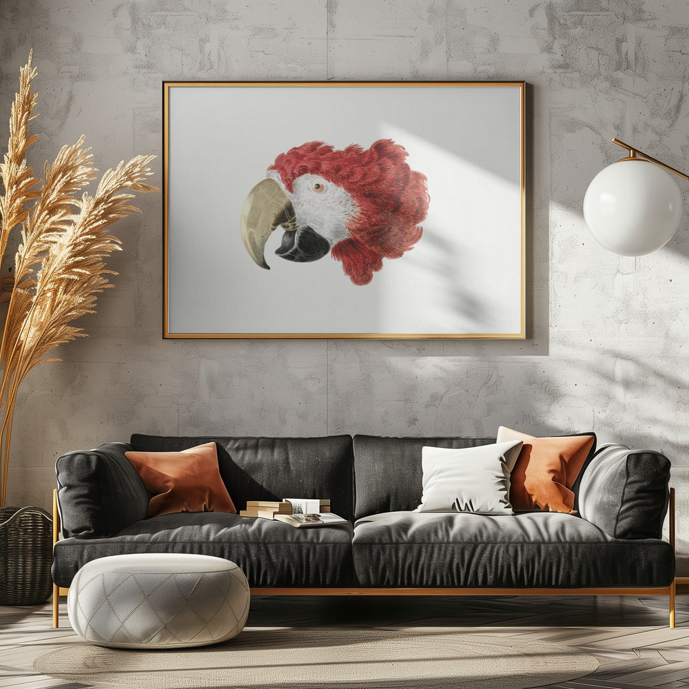 Macaw - Poster / Art Print - interiör